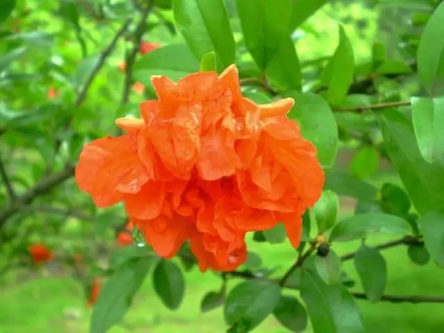 1676898858385138.jpg 微信圖片_20230220211316.jpg