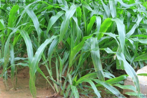 1712123002623065.jpg 1-1F50113453B60.jpg