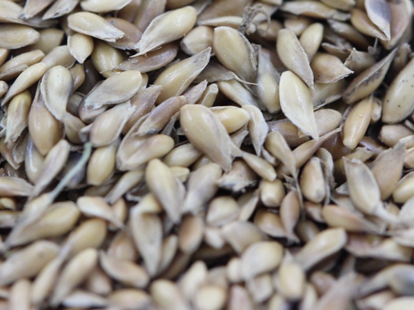 1712632086573949.jpg 1584338288384597.jpg