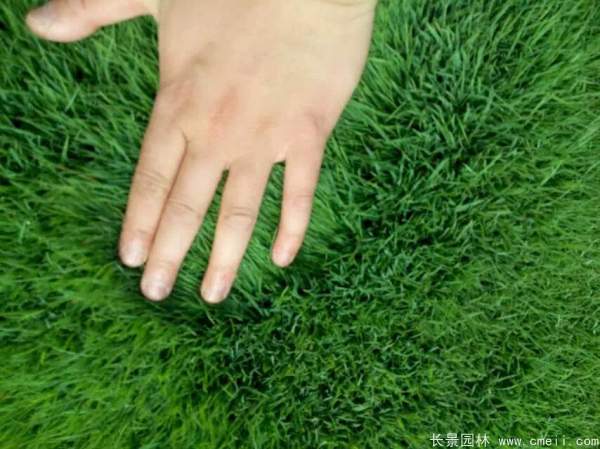 1712632100589097.jpg 1-1F5010J4004Y.jpg