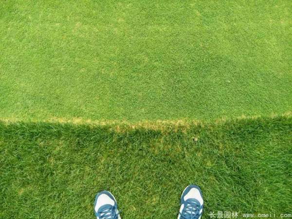 1712632106708014.jpg 1-1F5010J4023L.jpg