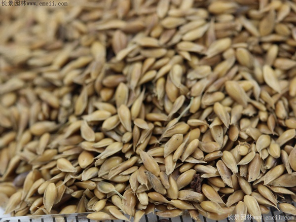 1712802132734819.jpg 1-1F501150404N1.jpg