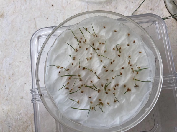 1712802137388476.jpg 1-19100Q43439249.jpg