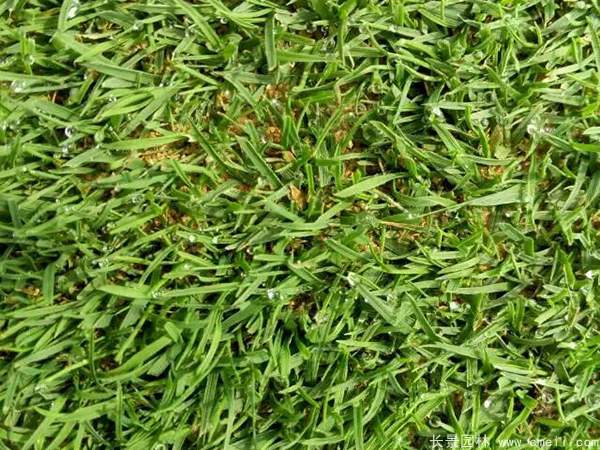 1712802146973476.jpg 1-1F5010J400955.jpg